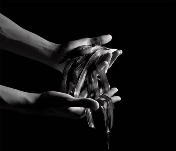 Le Soin Noir: una straordinaria capacità di sopravvivenza