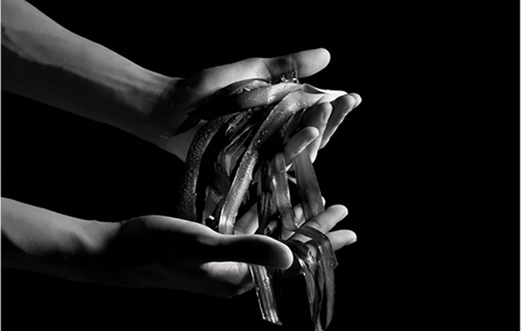 Le soin noir: an extraordinary survival capacity