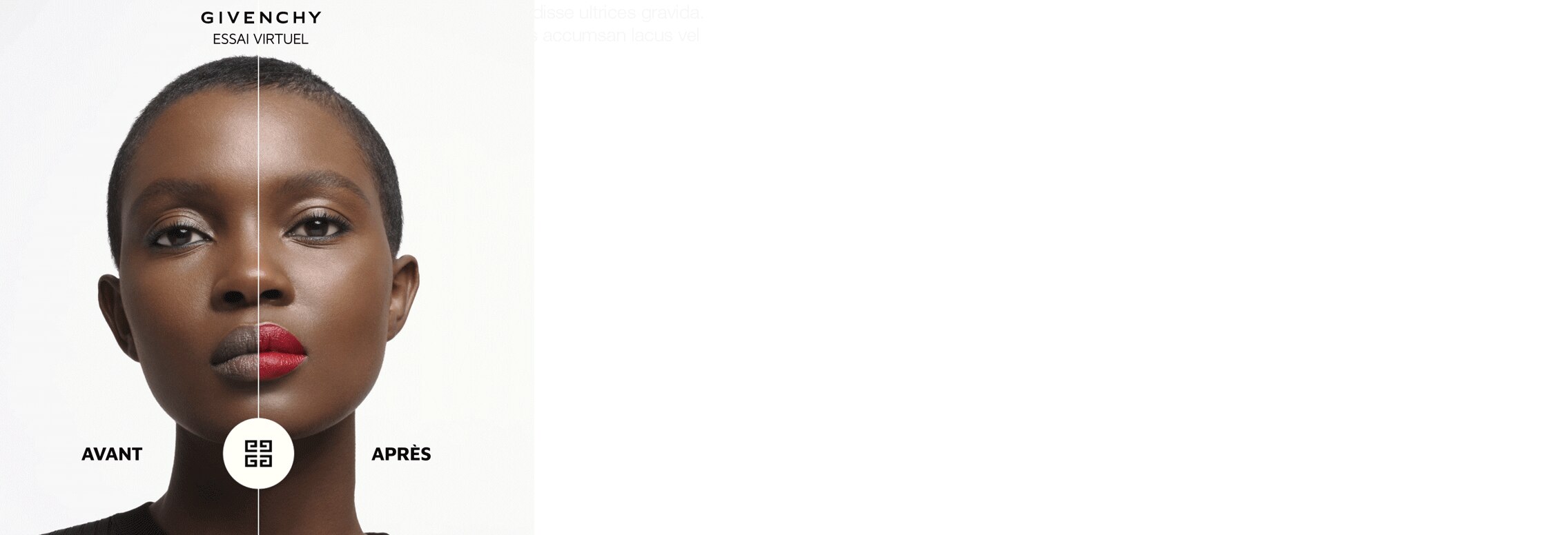 page intro