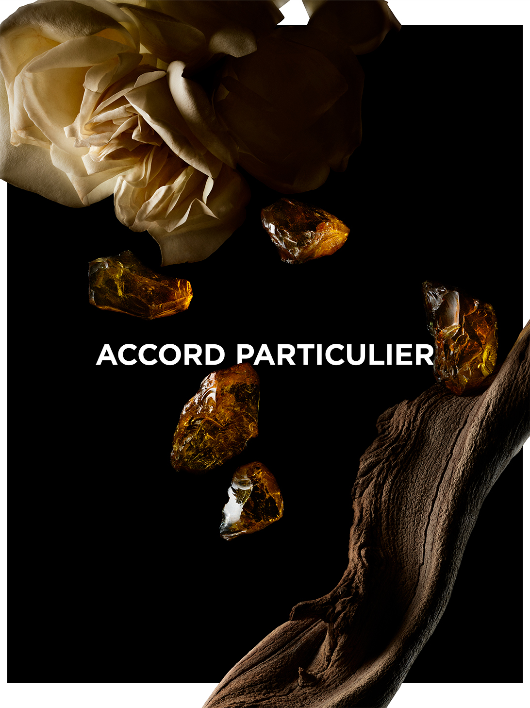 Notas olfativas de la vela perfumada Accord Particulier - La Collection Particulière