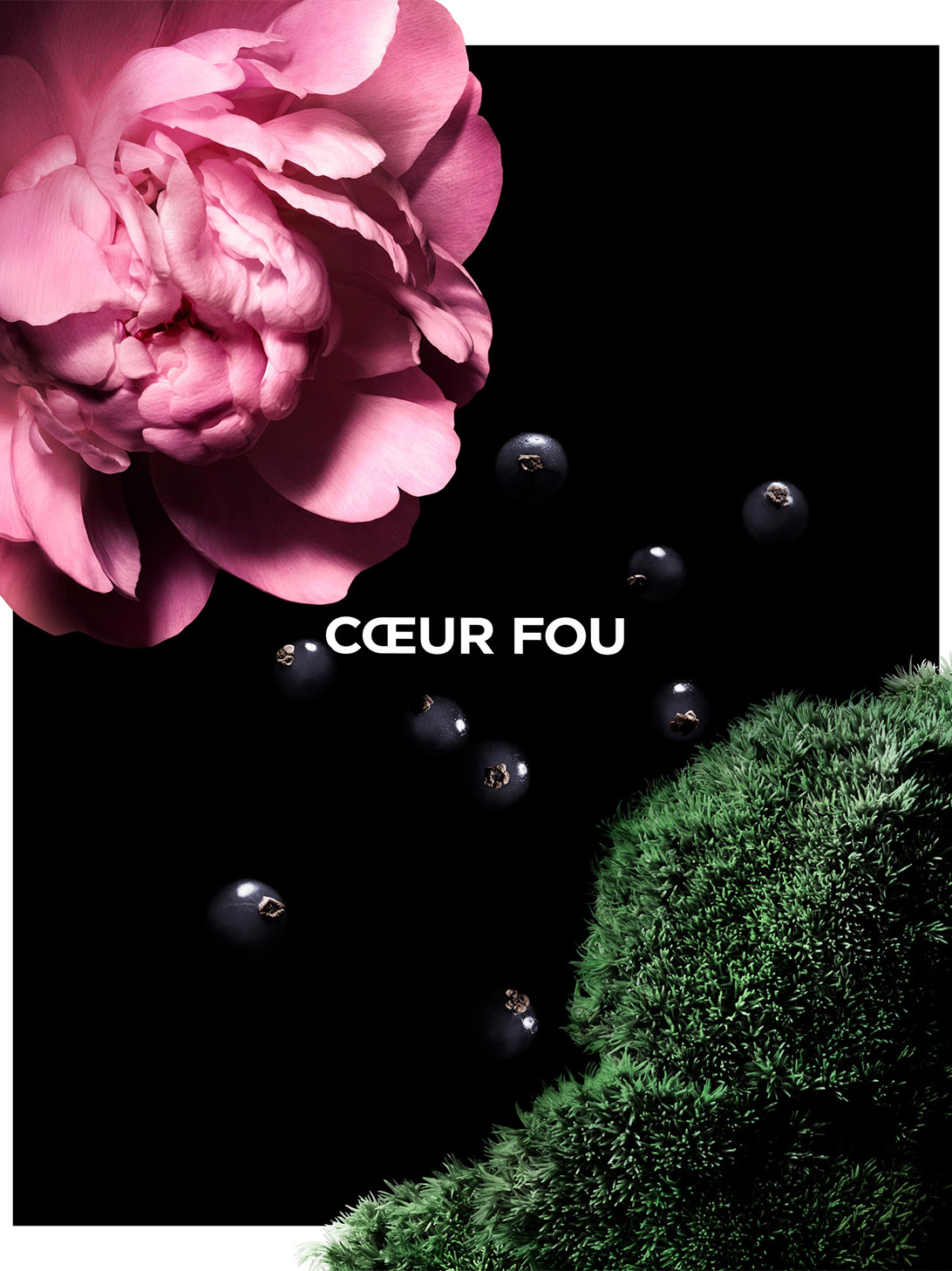 Notas olfativas de Coeur Fou de La Collection Particulière de Givenchy