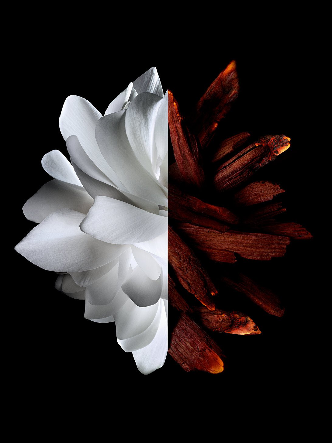 olfactory notes l'interdit perfume