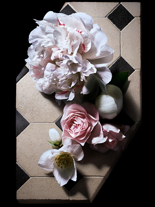 FLORAL