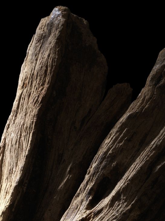 image for woody-1 subcategory